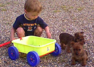 042108_1902[01]-web(3)