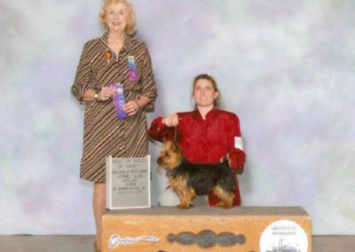 scan0002-red_blouse(2)